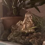 Secret Spot Luxury 劳林哈