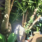 Secret Spot Luxury 别墅 *