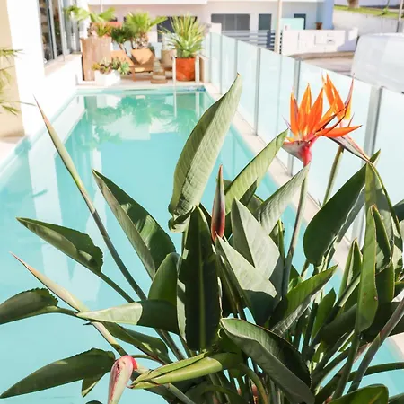 Secret Spot Luxury Vila *