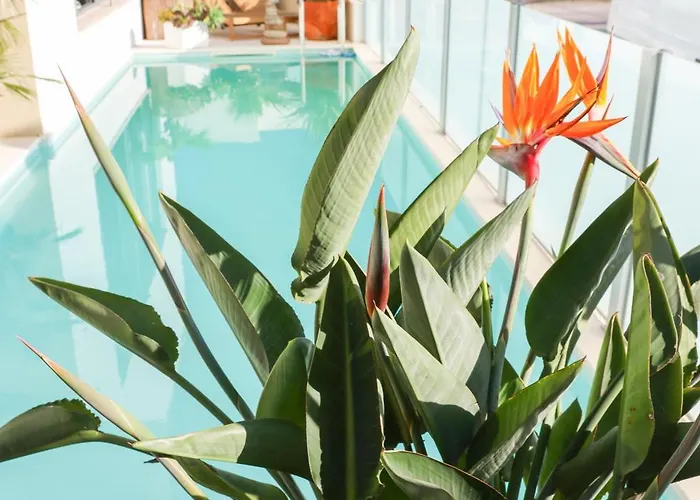 Secret Spot Luxury Willa *