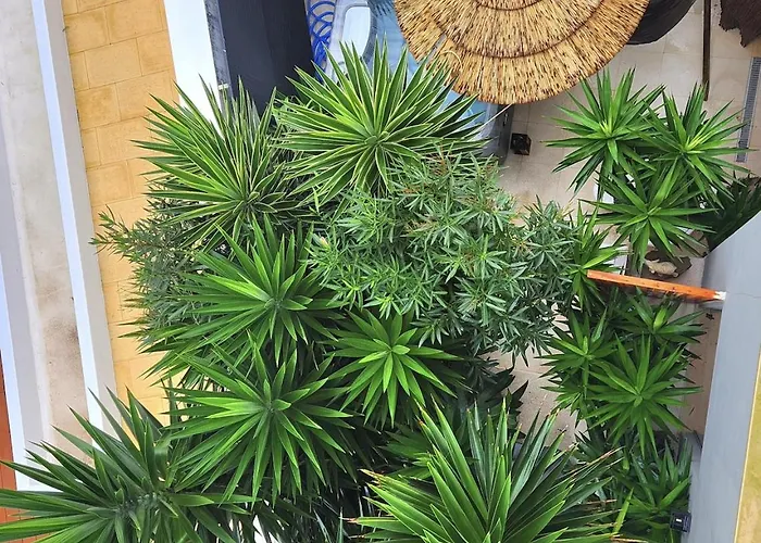 Secret Spot Luxury *