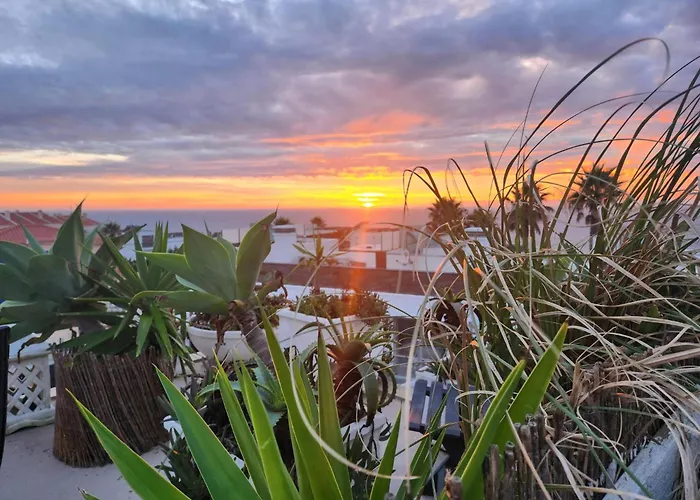 Willa Secret Spot Luxury *